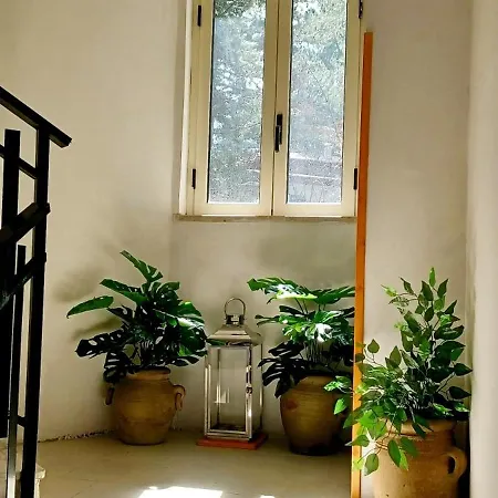 Feriehus La Casa Di Chicca Camigliatello Silano